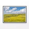 Yellow Flowers under Sky  Print 100% Australian Made 90x60cm  (Poster)