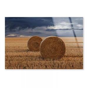 Straw Bales in A Field  Print 100% Australian Made 50 x 40cm  (Acrylic)