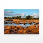 Wetlands in the Evening Winter  Print 100% Australian Made 150 x 100cm  (Stretched)