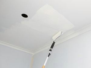 Person painting ceiling with extended paint roller brush.
