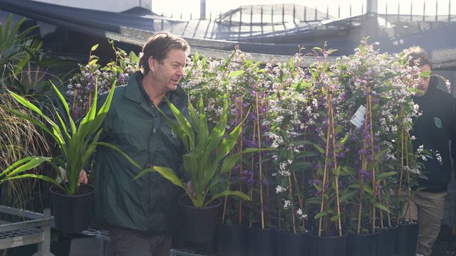 Two men standing next to a table with plants on it outside.
