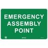 Pinnacle 300 x 200mm Metal Emergency Assembly Point Sign