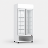 Thermaster Double Glass Door Colourbond Upright Drink Fridge - LG-580P