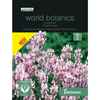 Johnsons World Botanics Lavender English Rosea