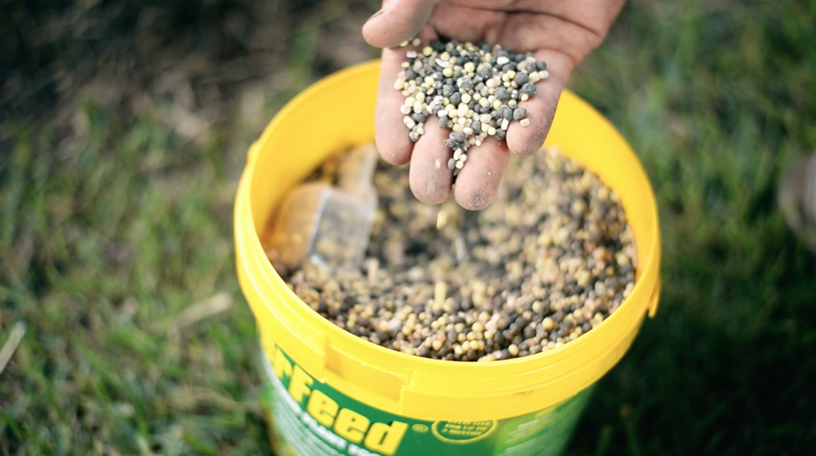 Close up of a handful of Power Feed fertiliser granules
