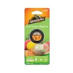 Armor All 2.5ml Vent Air Freshener Summer Melons