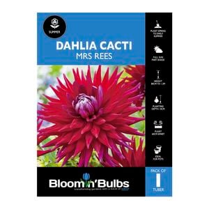 Bloomin' Bulbs Dahlia Mrs Rees - 1 Pack