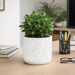 EDEN 12cm White Terrazzo Indoor Concrete Planter - 120mm