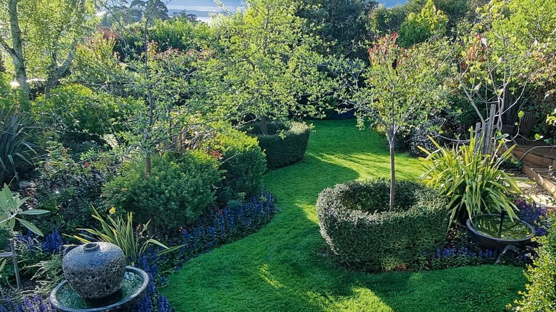  A backyard design with curved garden beds filled with green trees and manicured hedging separated by lush green grass.
