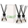 Glass Reed Diffusers - 200ml - Sage Retreat - Pack of 3 - Herbal Spa Fragrance with 8 Reeds Each Long Lasting