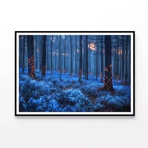 Forest in the Night  Print 100% Australian Made 120x90cm  (Poster)