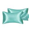Catzon 2 Pcs Luxury Silky Satin Pillowcases with Zipper for Hair and Skin 50X66cm-Water Blue