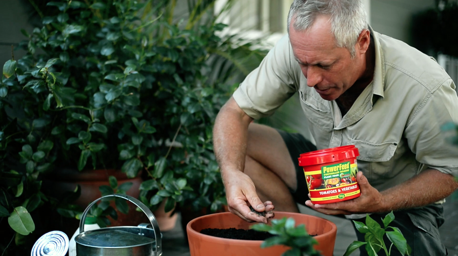 Man adding plant food to soil in a large pot