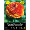 Yarra Valley Bulbs Ranunculus Florentine Orange - 20 Pack