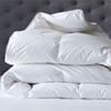 Renee Taylor Double Luxury All Season Thermaloft 400GSM Microfibre Quilt