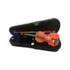 Axiom Beginner Viola Outfit 13" Viola - School Viola