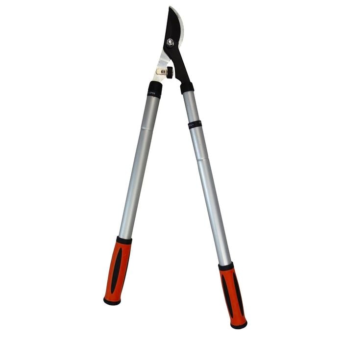 Saxon Telescopic Bypass Loppers