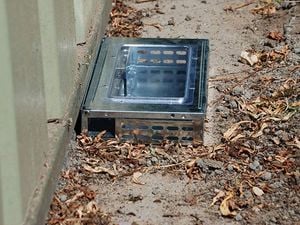 Metal rodent trap with transparent lid and ventilation holes placed on the ground near a building.