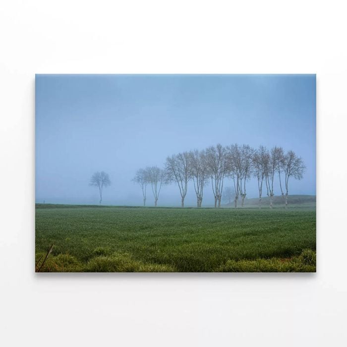 A Grassy Field with Trees, Sky  Print 100% Australian Made 150 x 100cm  (Stretched)