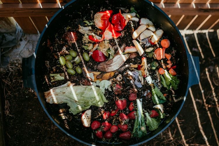 Topdown view of an open compost bin