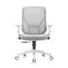 Shappa A19 Medium Back Ergonomic Chair (Grey)