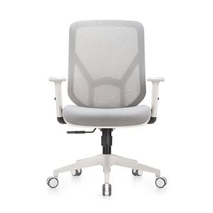 Shappa A19 Medium Back Ergonomic Chair (Grey)