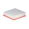 WIX Air Filter WA9871 Interchangeable With A1828 & WA5270
