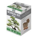 Mr Fothergill's Pine Bonsai Kit