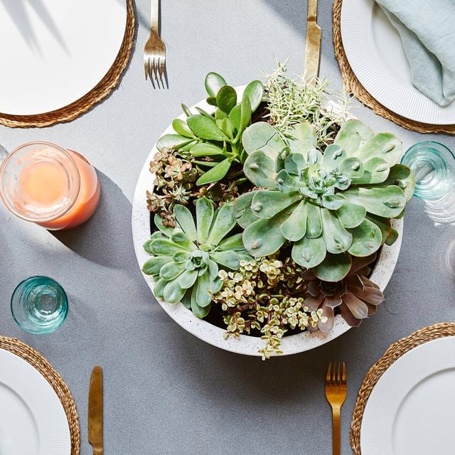 Close up of three succulent centrepieces in concrete look pots on a decorated dinner table with tableware