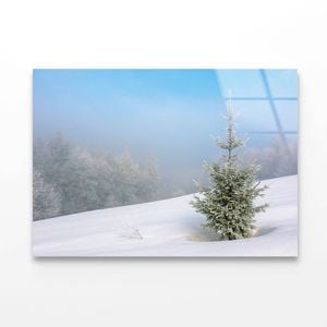 Little Fir Tree  Print 100% Australian Made 90 x 60cm  (Acrylic)