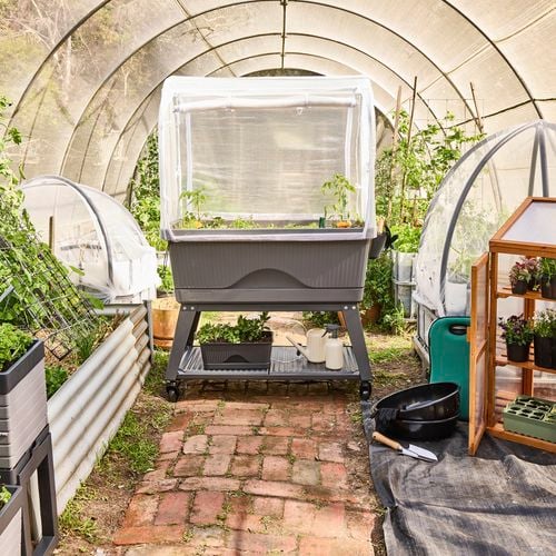 Backyard farmer image 1