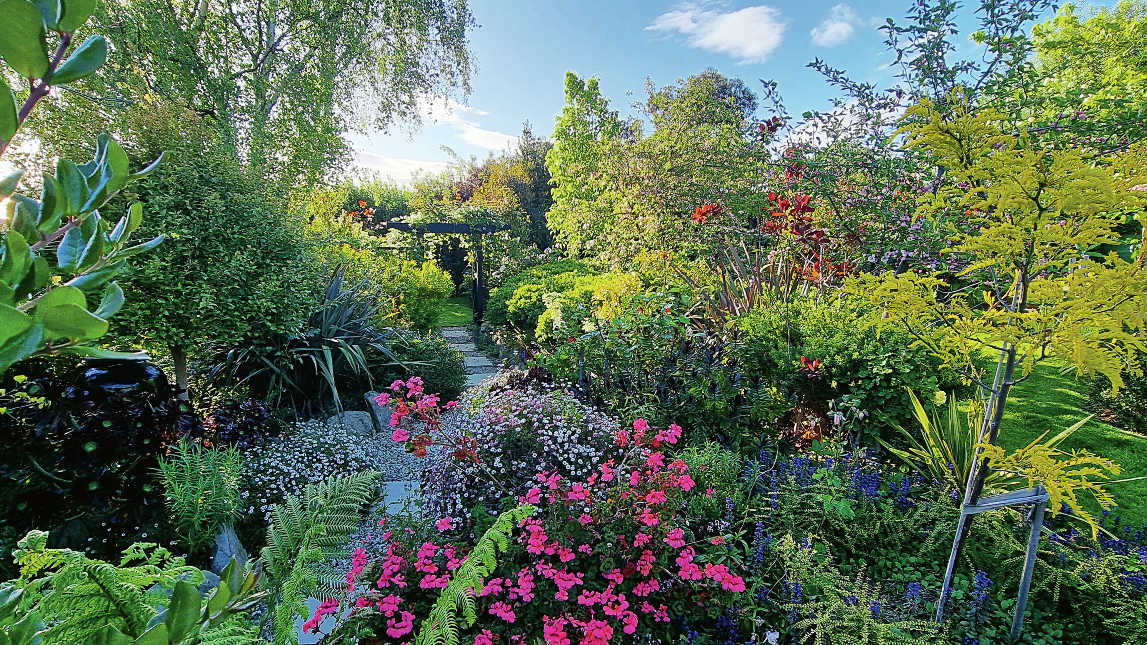  A backyard design with curved garden beds filled with green trees and manicured hedging separated by lush green grass.