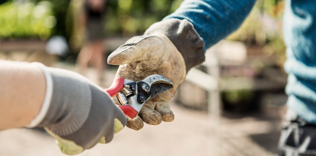 Garden secateurs