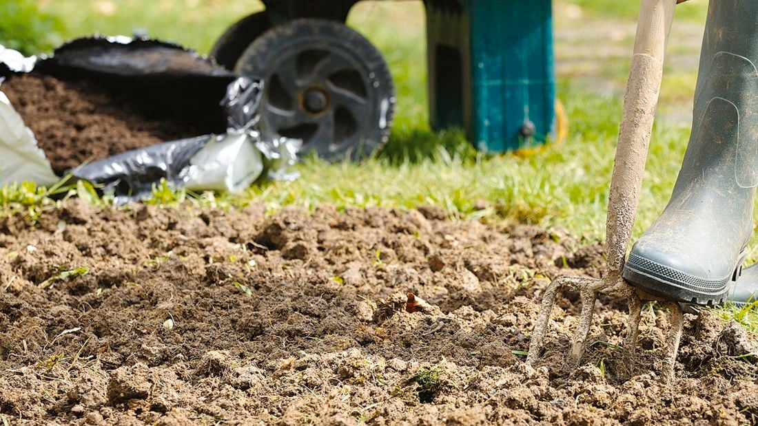 Person digging up lawn using pitch fork.