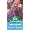 Fothergill's Dianthus Sweet William Electron Seeds