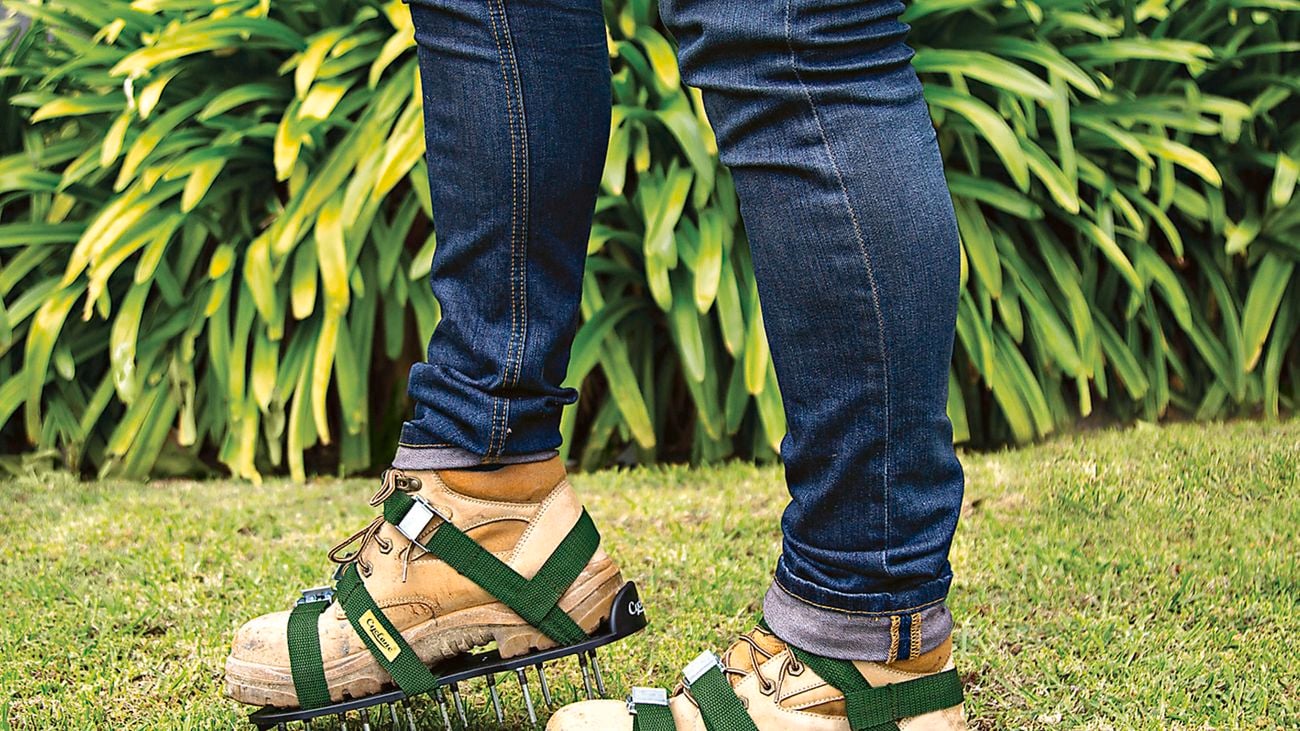 A person wearing aerating spiked sandals on grass