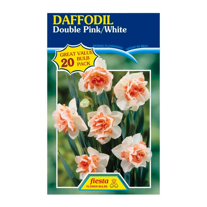 Fiesta Flower Bulbs Daffodil Double Pink / White - 20 Bulbs