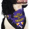 Rubie's Pet Bandana Does Tricks For Treats Halloween Dog Costume Orange