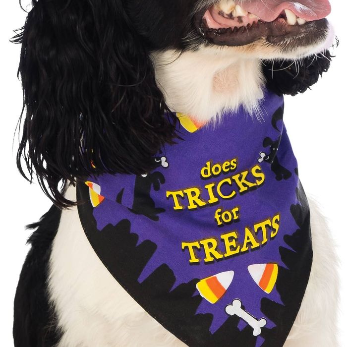 Rubie's Pet Bandana Does Tricks For Treats Halloween Dog Costume Orange