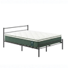 Zinus Queen Metal Bed Frame & Pocket Spring Mattress Set, Green Premium Euro Top