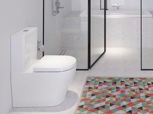 Bathroom with a toilet, colourful bath mat and panelled vanity.