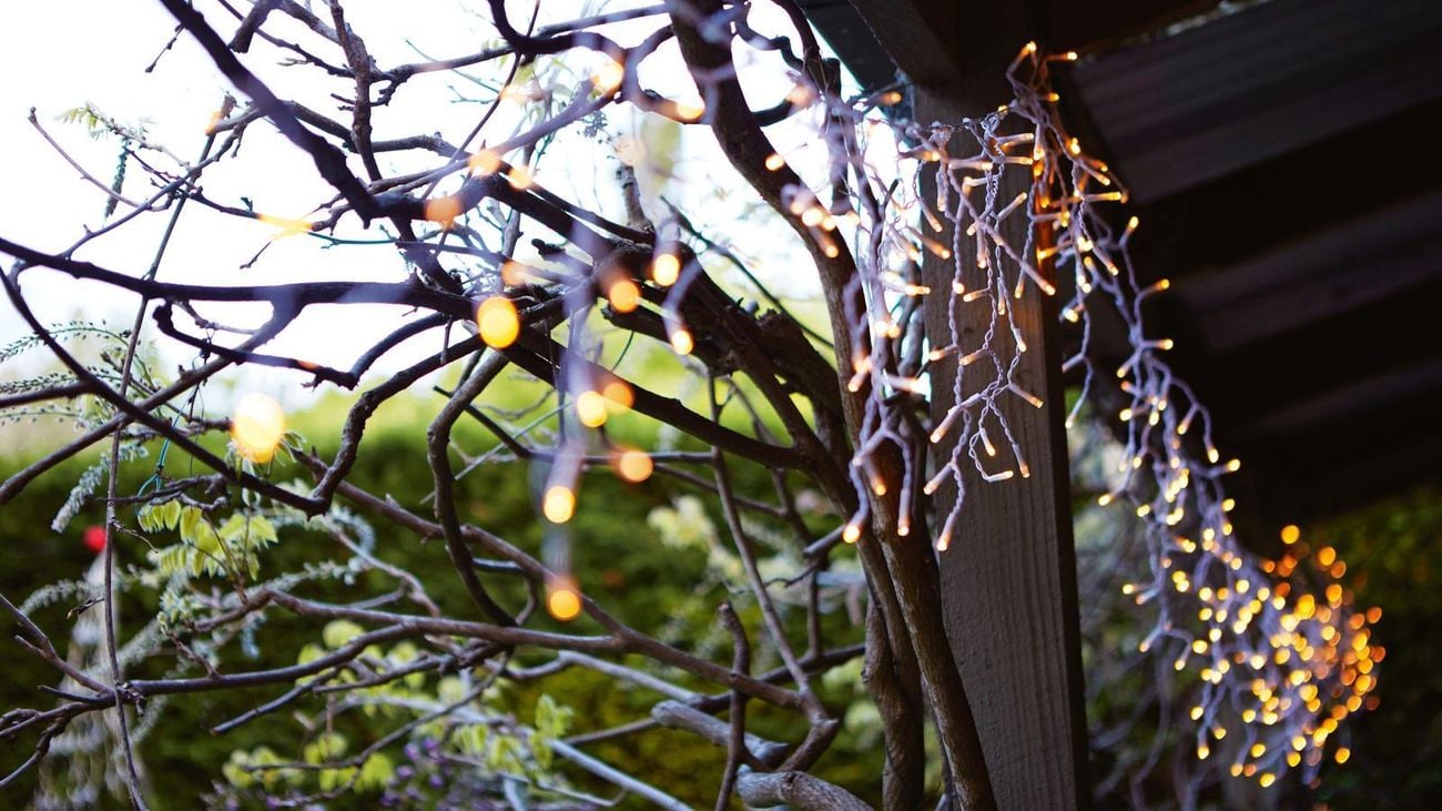 Close-up of fairy lights in a vine on a veranda at night