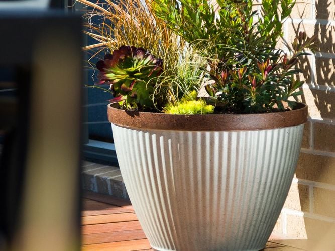 A rustic looking planter filled with striking plants by a back door.
