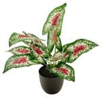 UN-REAL 40cm Artificial Purple Caladium