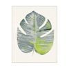 Artey | Green Papyrus III - Stretched Canvas - Stretched Canvas - 80 x 100cm