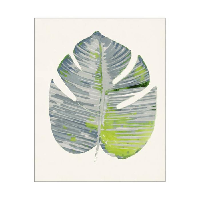 Artey | Green Papyrus III - Stretched Canvas - Stretched Canvas - 80 x 100cm