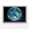 Bird, Moon, and a Blue Night  Print 100% Australian Made 120x90cm  (Poster)