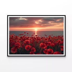 Sunset over a Sea Of Poppies  Print 100% Australian Made 120x90cm  (Poster)