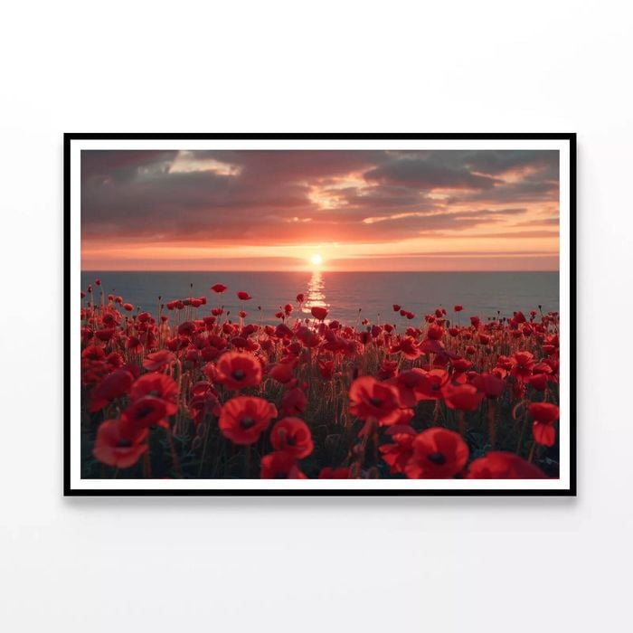 Sunset over a Sea Of Poppies  Print 100% Australian Made 120x90cm  (Poster)