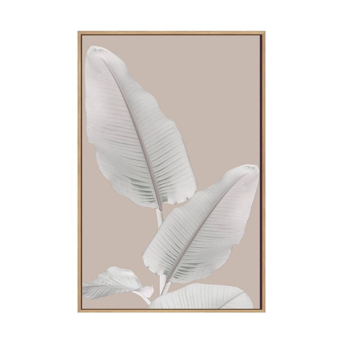Artey | Blush Paridise II - Framed Canvas - Natural Frame - 40 x 60cm